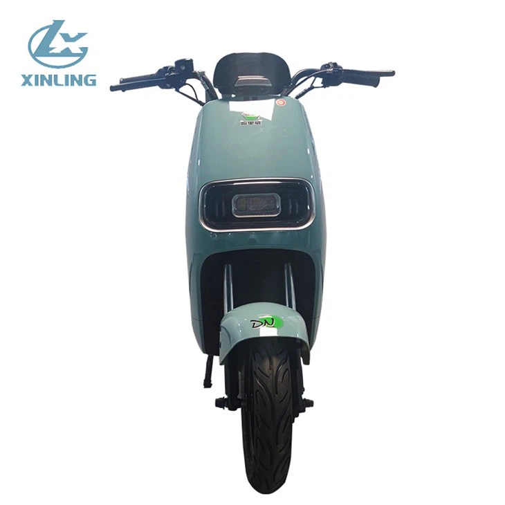 Adult Electric Scooter Motorcycle